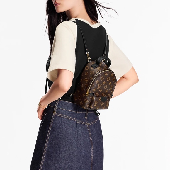 Louis Vuitton Palm Springs Mini Backpack - Picture 1 of 6